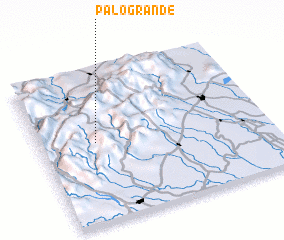 3d view of Palo Grande