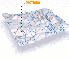 3d view of Musoctiana