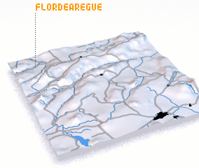 3d view of Flor de Aregue