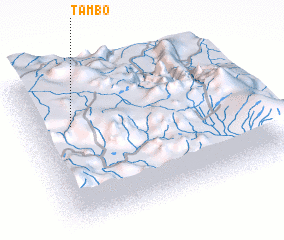 3d view of Tambo