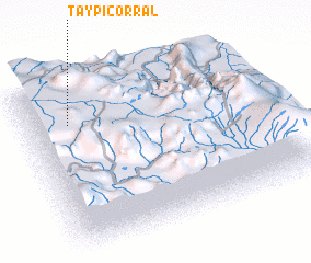 3d view of Taypicorral