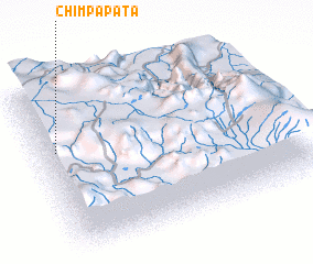 3d view of Chimpa Pata