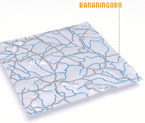 3d view of Bananingoro