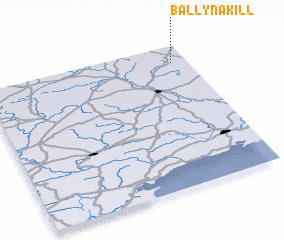 3d view of Ballynakill