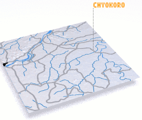 3d view of Chyokoro