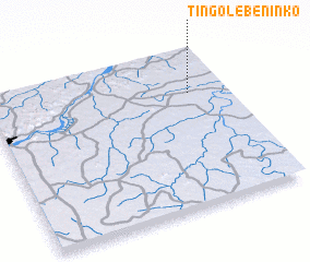 3d view of Tingolé Béninko