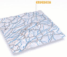 3d view of Ervedosa