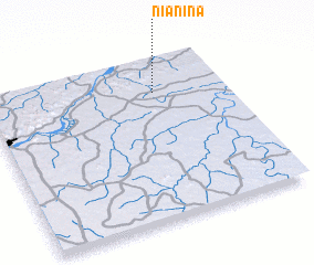 3d view of Nianina