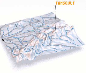 3d view of Tamsoult
