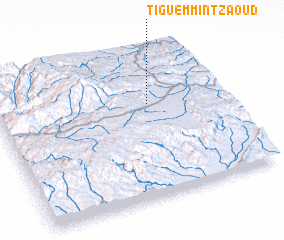 3d view of Tiguemmi nʼTzaoud