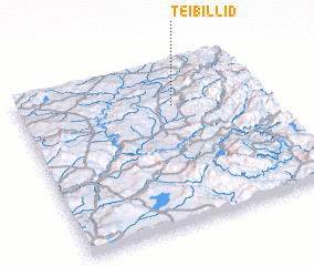 3d view of Teibillid