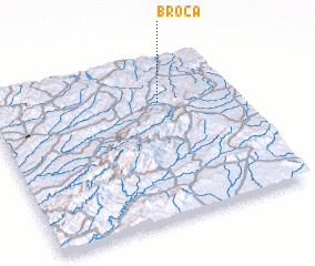 3d view of Broca
