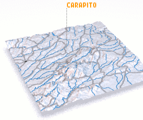 3d view of Carapito