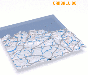 3d view of Carballido
