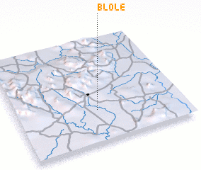 3d view of Blolé