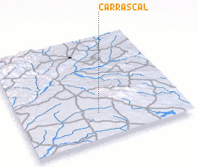 3d view of Carrascal