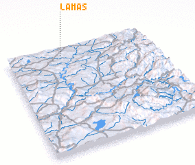 3d view of Lamas