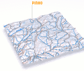 3d view of Pinho