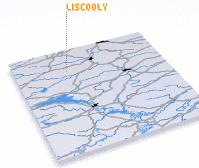 3d view of Liscooly