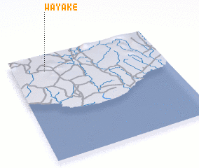 3d view of Wayake