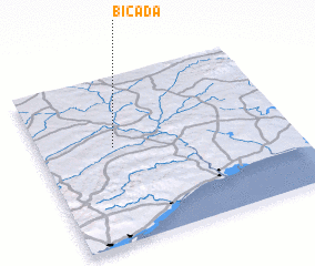 3d view of Bicada