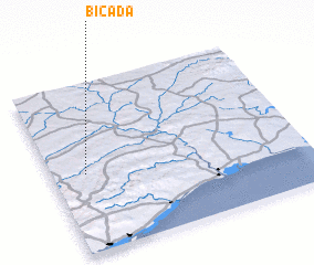 3d view of Bicada