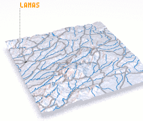 3d view of Lamas