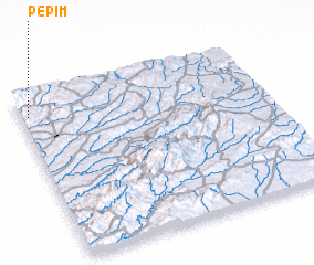 3d view of Pepim