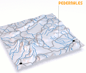 3d view of Pedernales