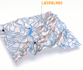 3d view of Las Palmas