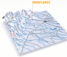 3d view of Miraflores