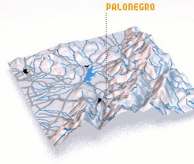 3d view of Palo Negro