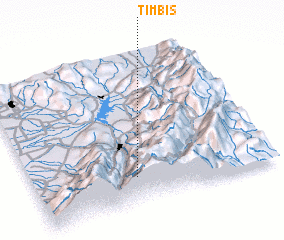 3d view of Timbis