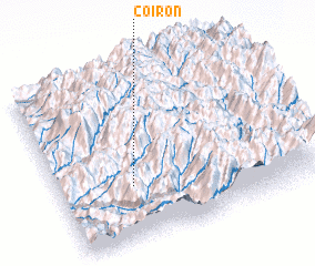 3d view of Coirón