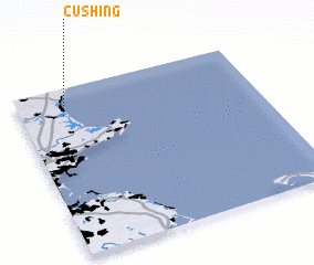 3d view of Cushing