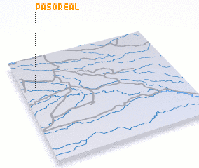 3d view of Paso Real