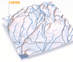 3d view of Cupine