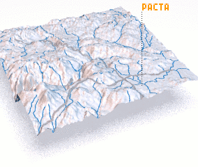 3d view of Pacta