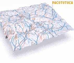 3d view of Pacotutuca