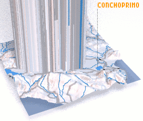 3d view of Concho Primo