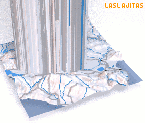 3d view of Las Lajitas