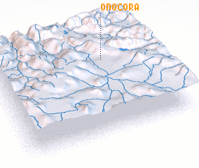 3d view of Onocora