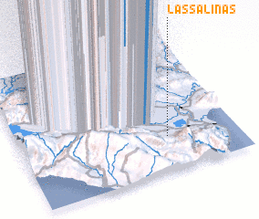 3d view of Las Salinas