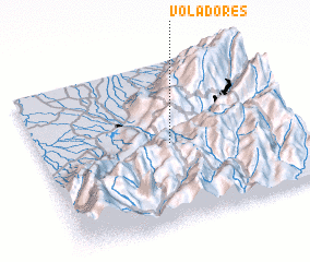 3d view of Voladores