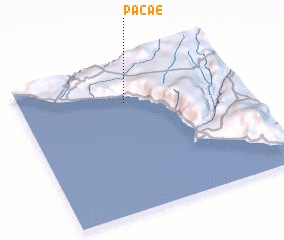 3d view of Pacae