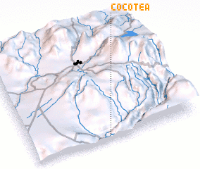 3d view of Cocotea