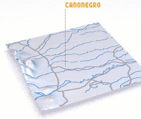 3d view of Caño Negro