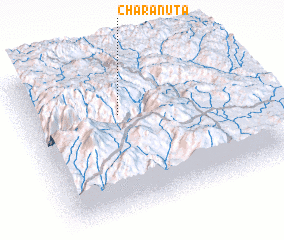 3d view of Charanuta