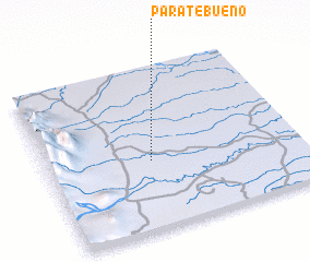 3d view of Paratebueno