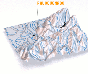 3d view of Palo Quemado